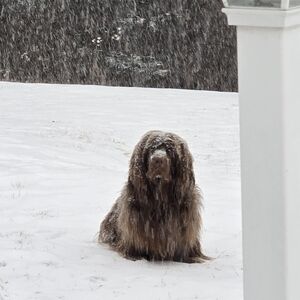 Meet your Posher, Carrie